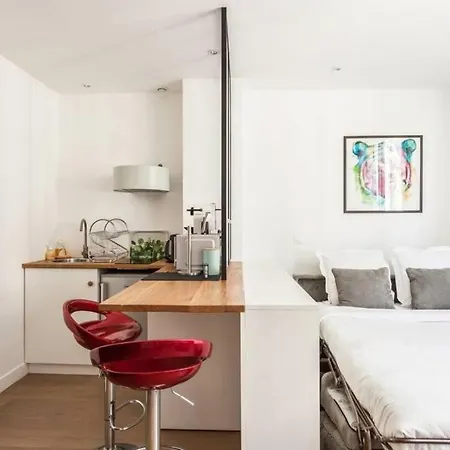 Modern Perfectly Equipped And Renovated Paris